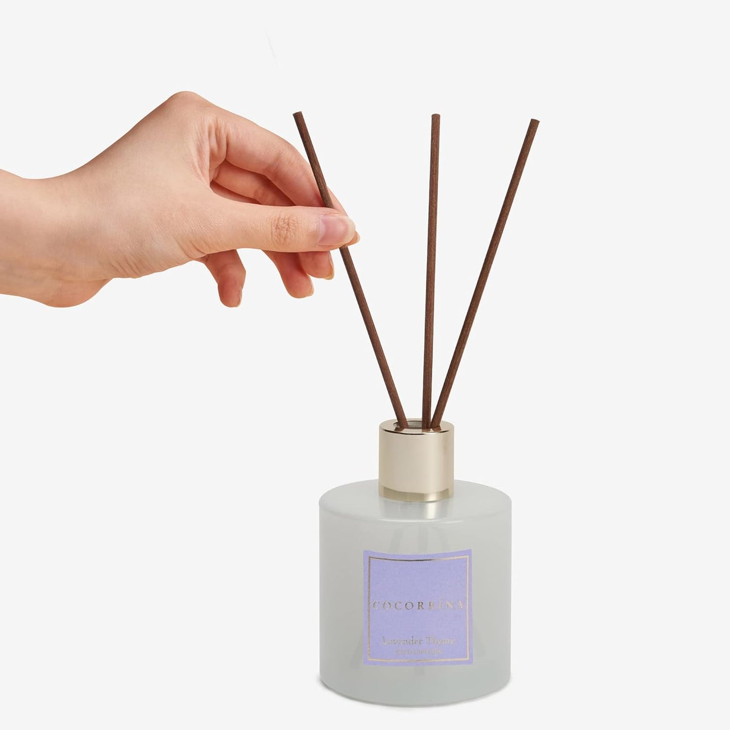 Cocorrína Reed Diffuser – Sandalwood Rose, 6.7oz with Baby’s Breath
